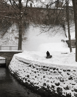 Прикольные гифки