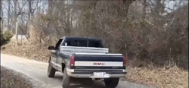 Прикольные гифки