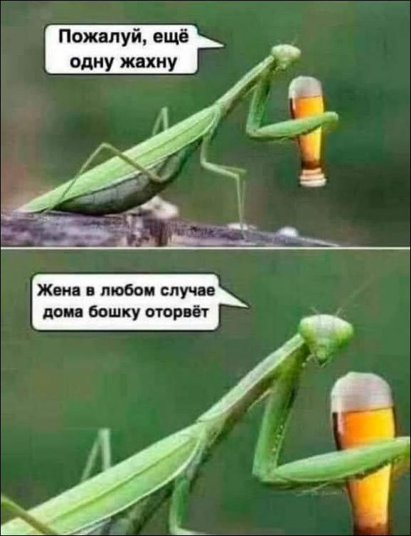 комиксы и карикатуры