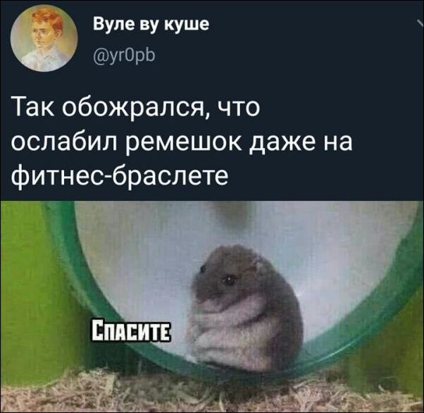 смешные комментарии