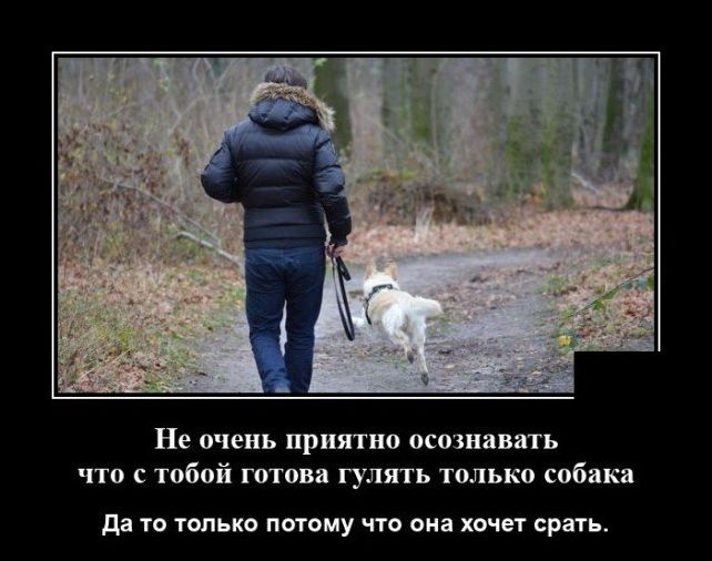 демотиватор