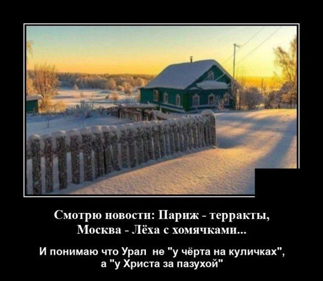 демотиватор