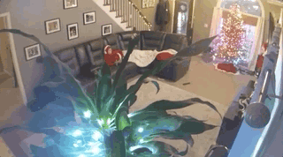 Прикольные гифки