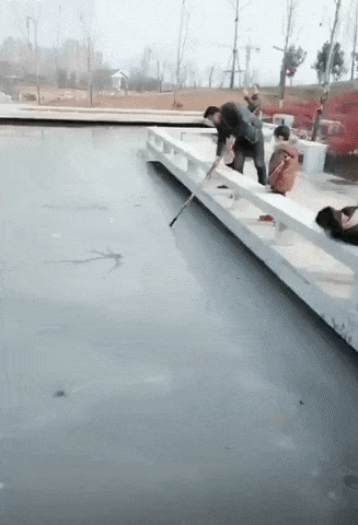 Прикольные гифки