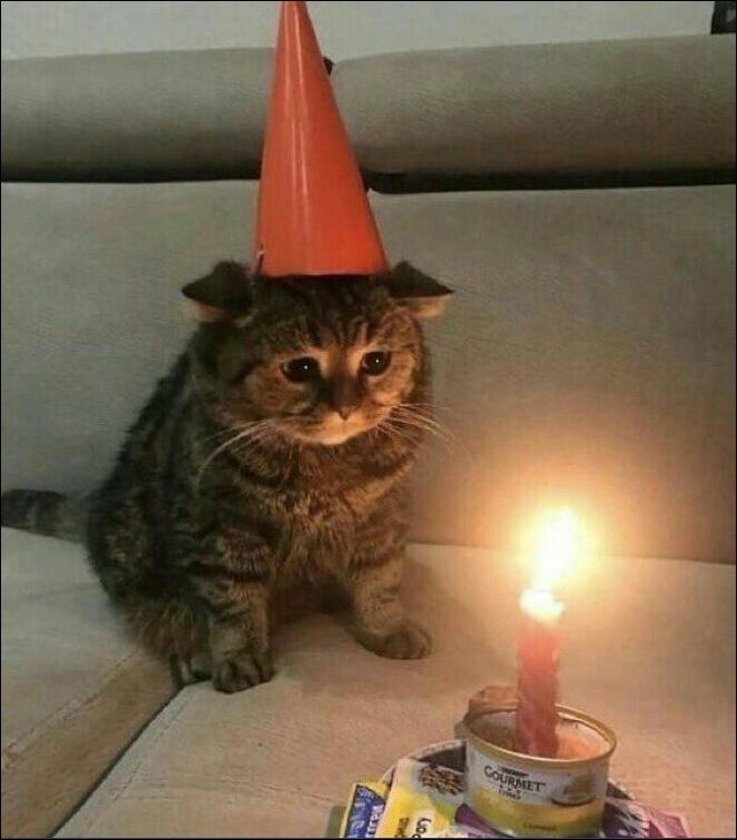 фото приколы