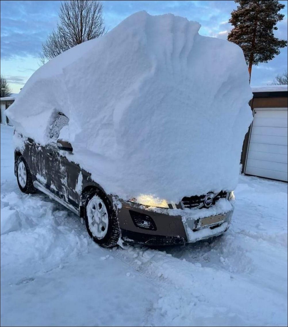 фото приколы