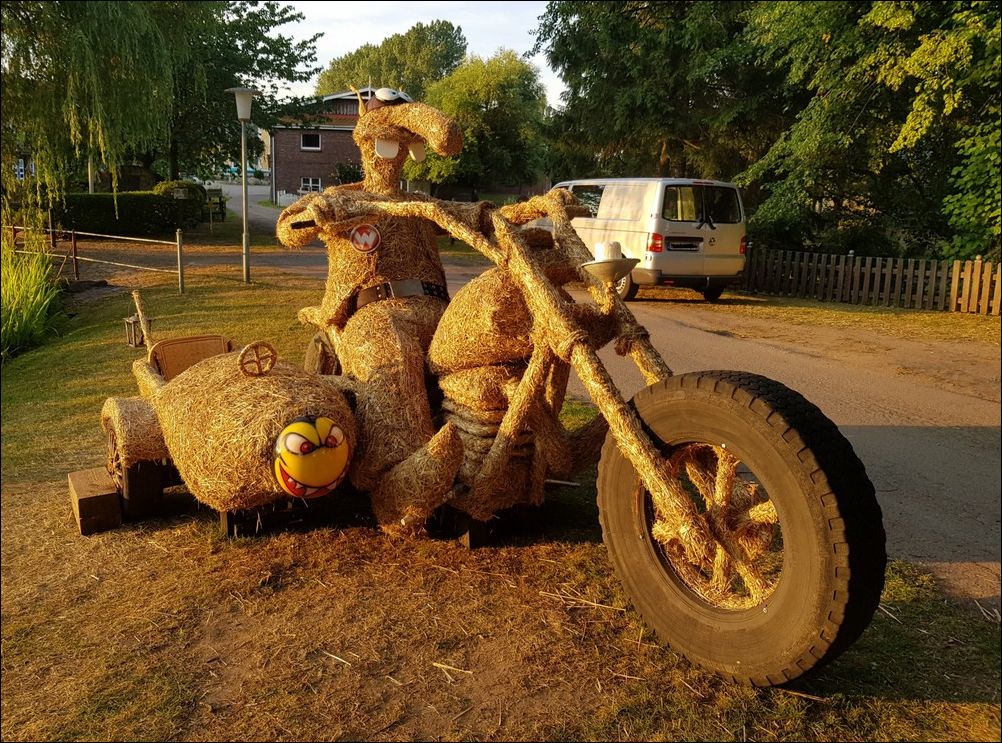 фото приколы