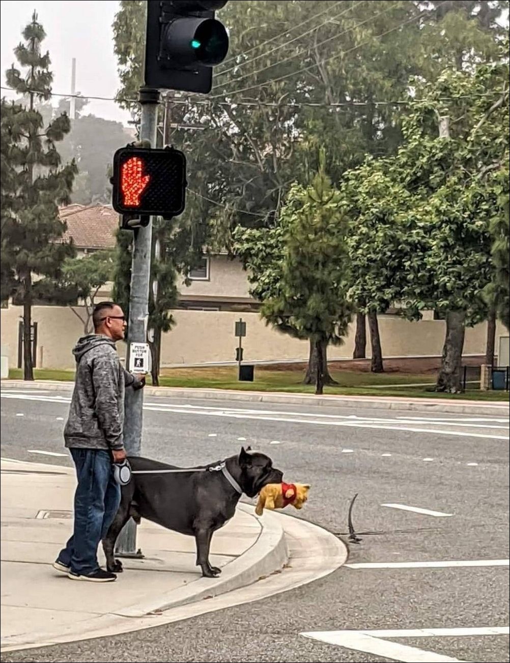 фото приколы