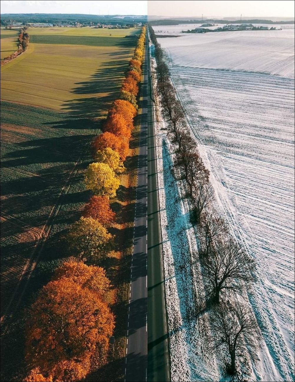 фото приколы