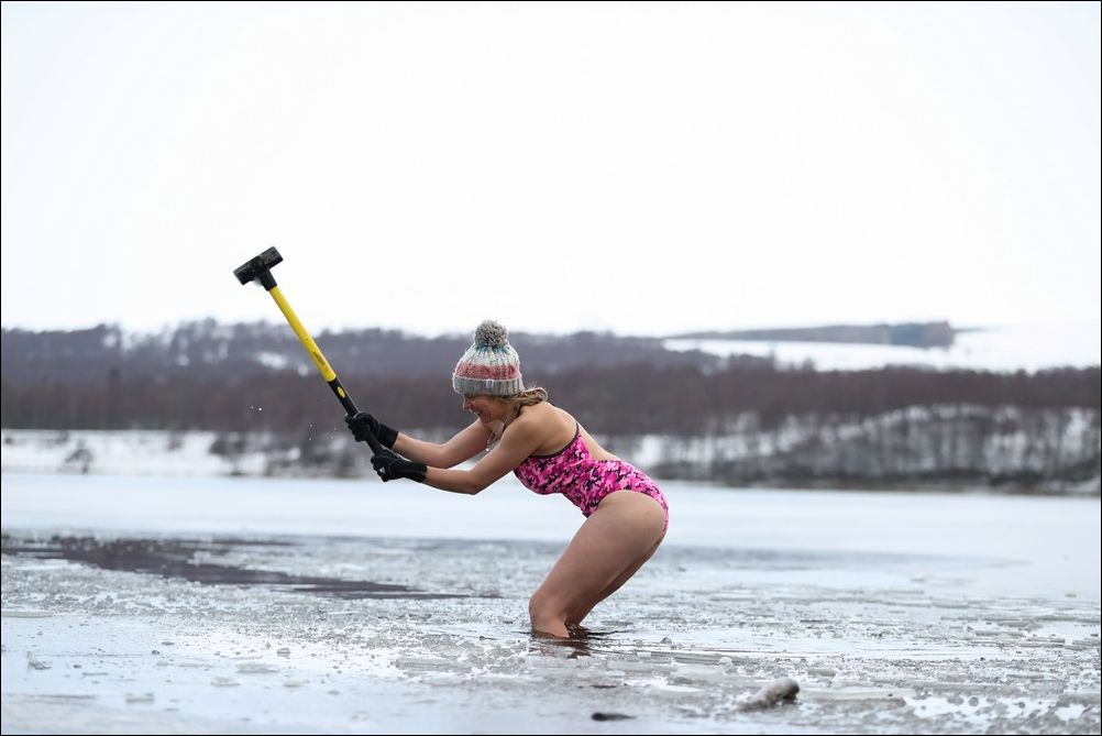 фото приколы