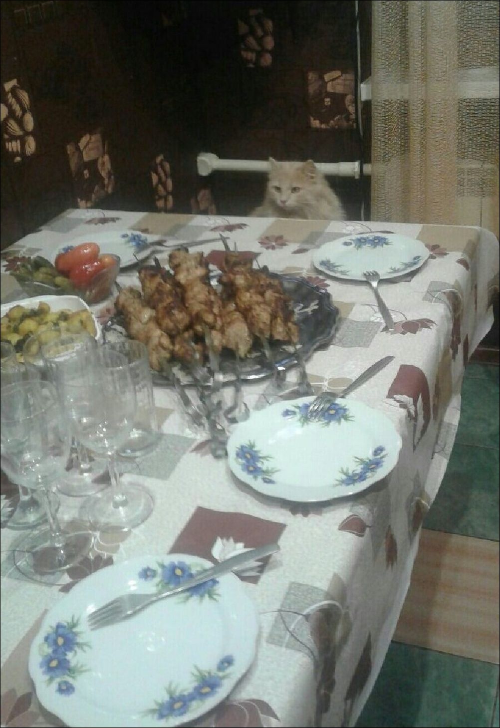 фото приколы