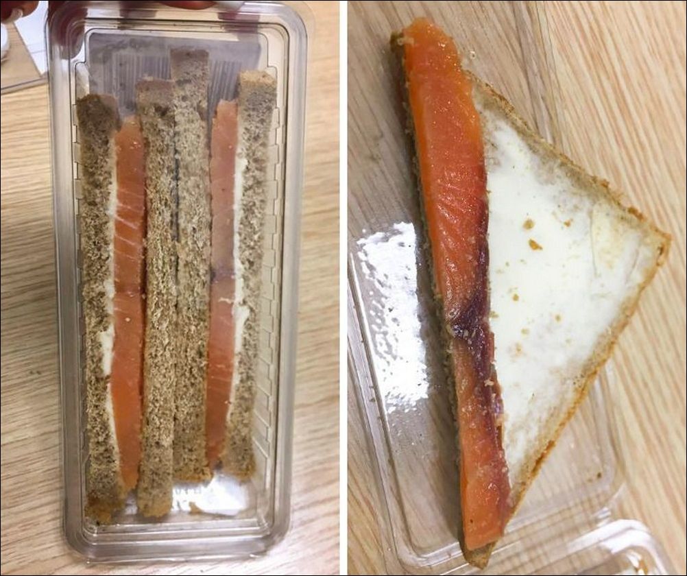 фото приколы