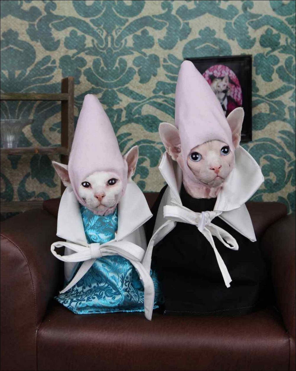 фото приколы