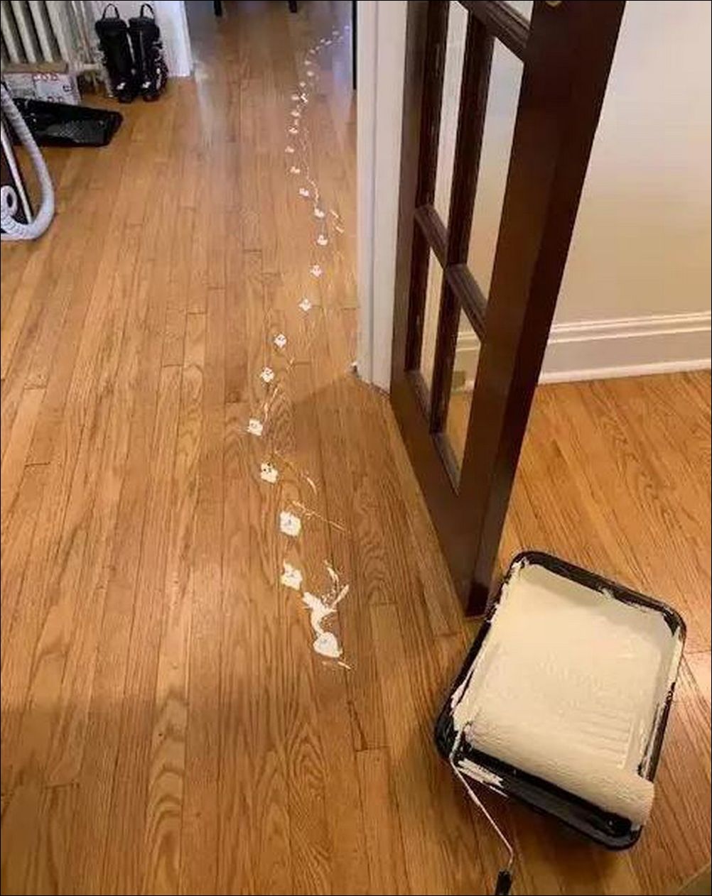 фото приколы