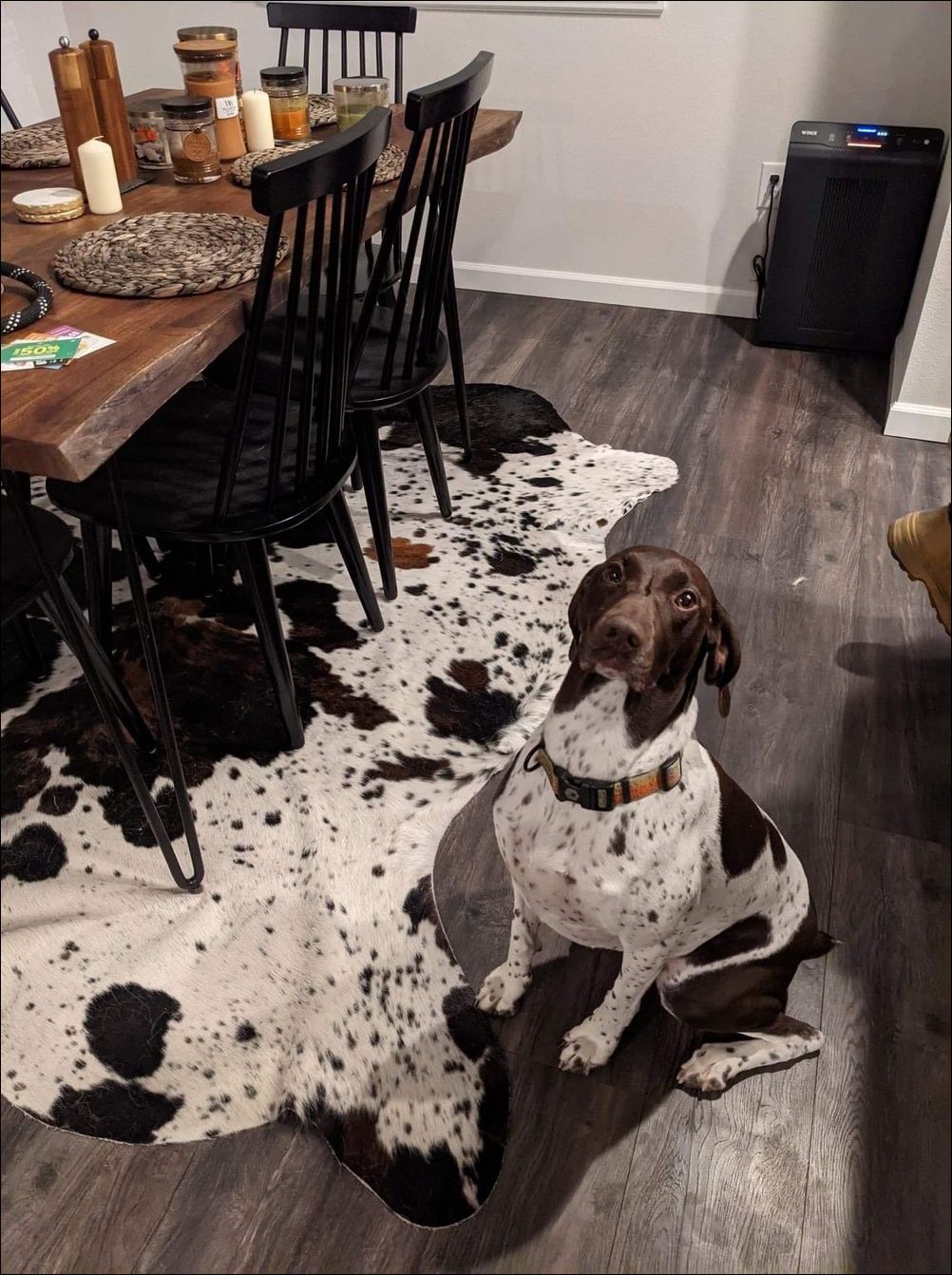 фото приколы