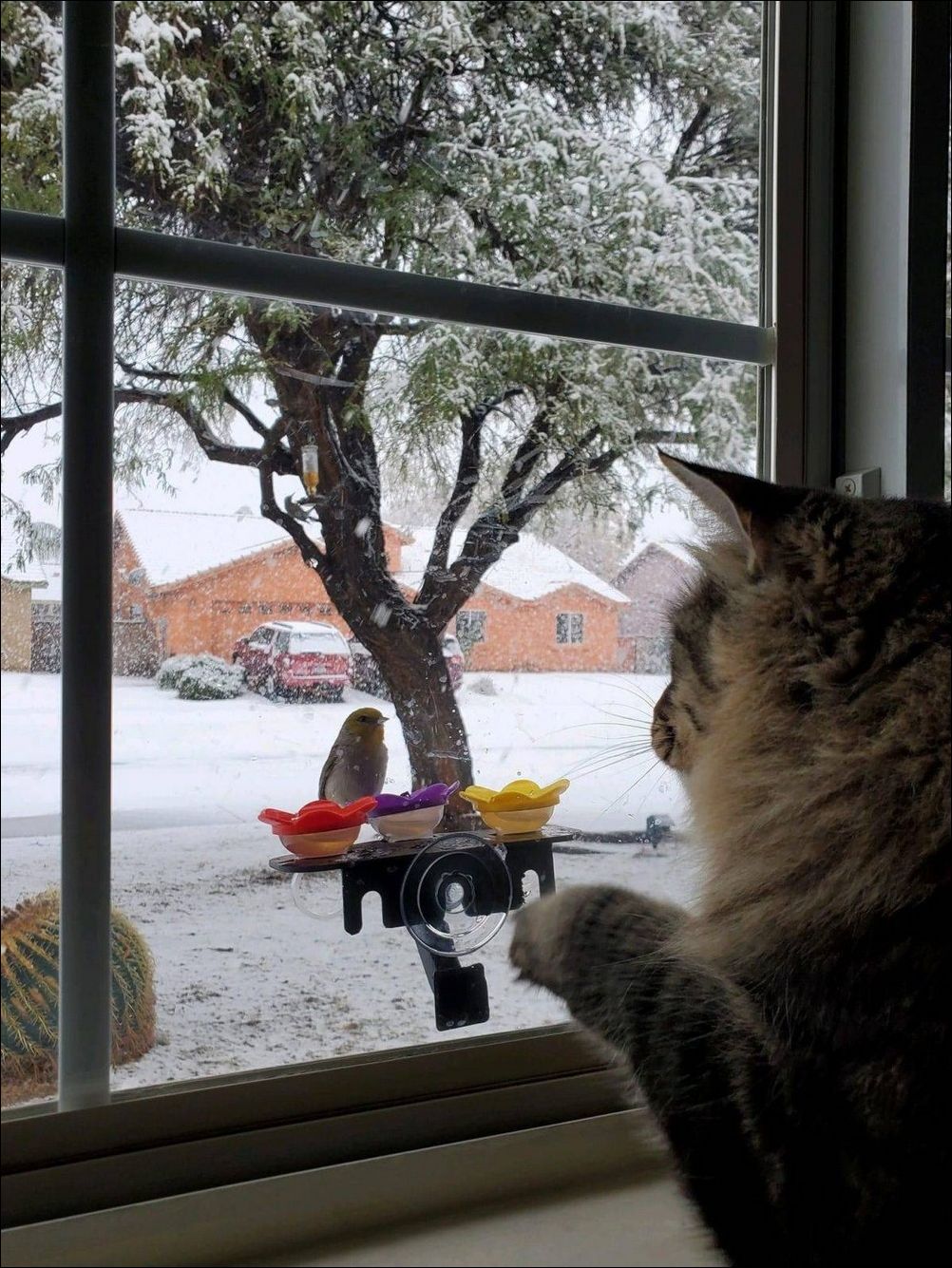 фото приколы