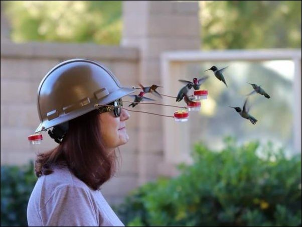 фото приколы