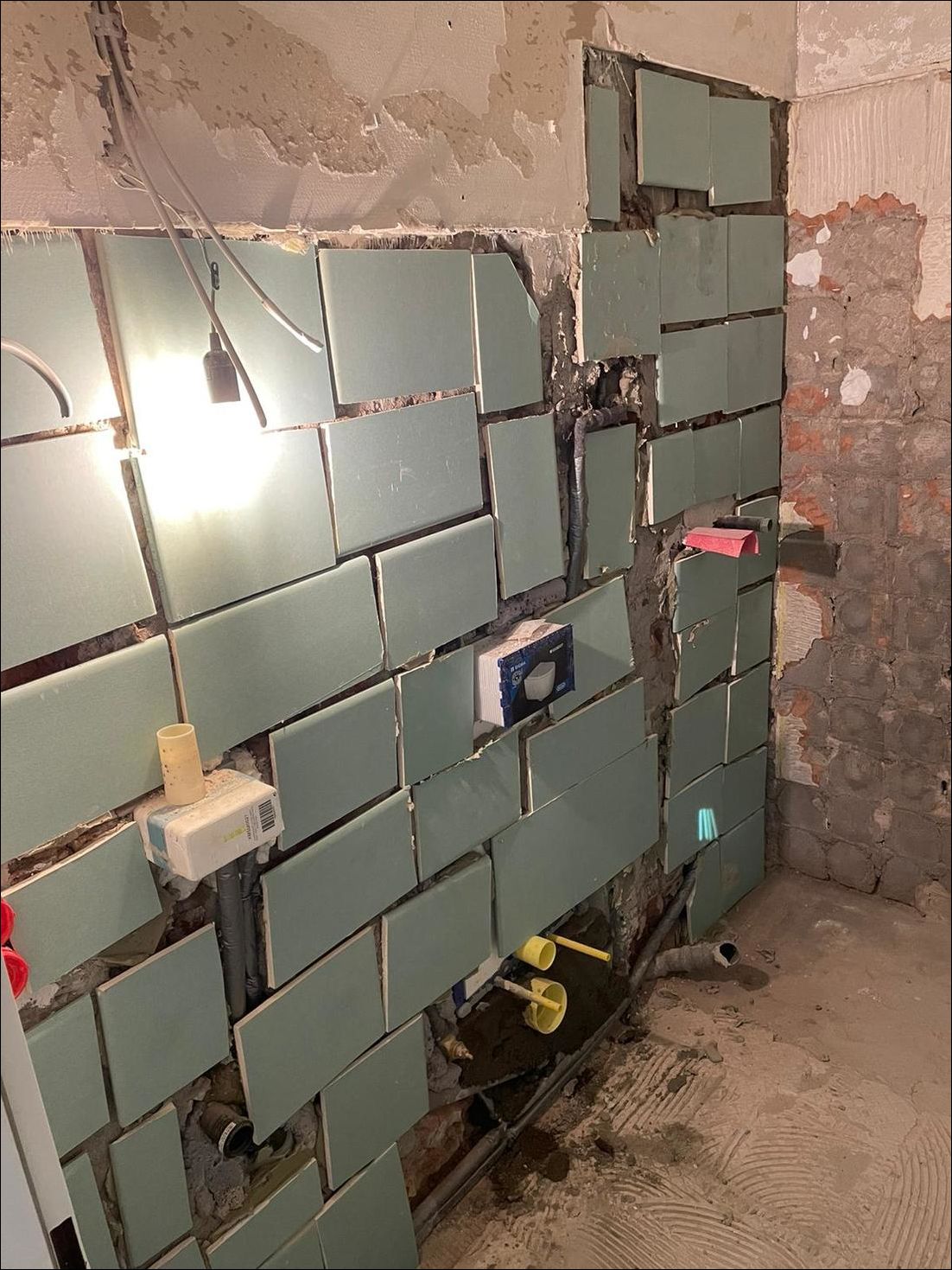 фото приколы