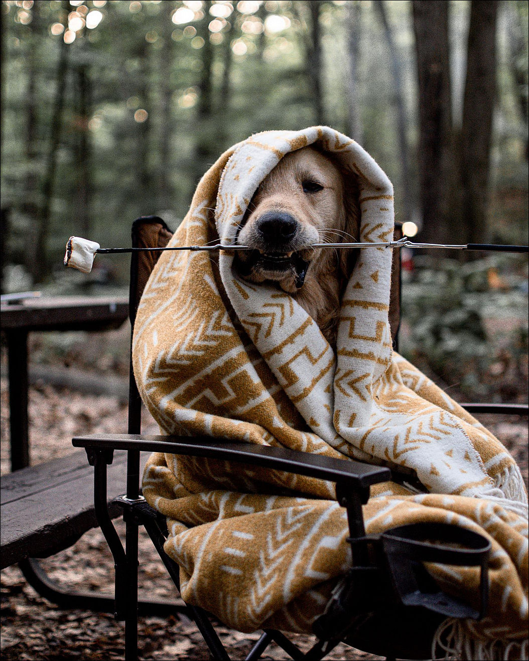 фото приколы