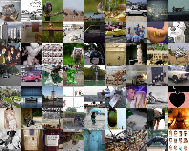 prikolnie-kartinki-00