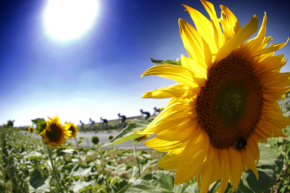 tour-de-france-2010-35