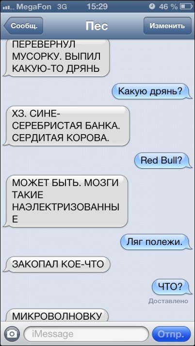 SMS диалоги с собакой