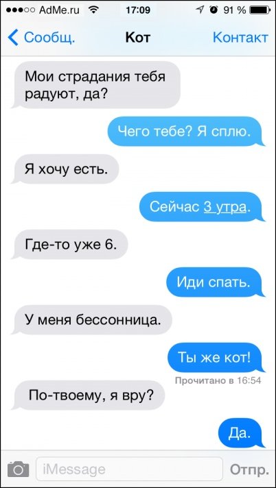 SMS переписка с котом