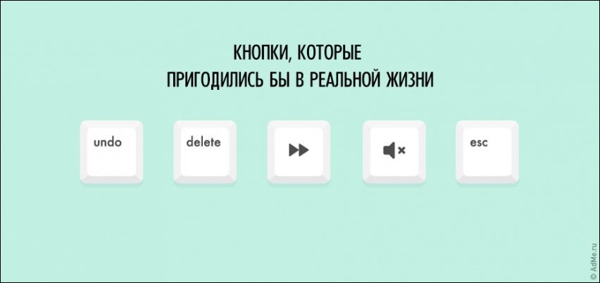 Смешная жизненная инфографика