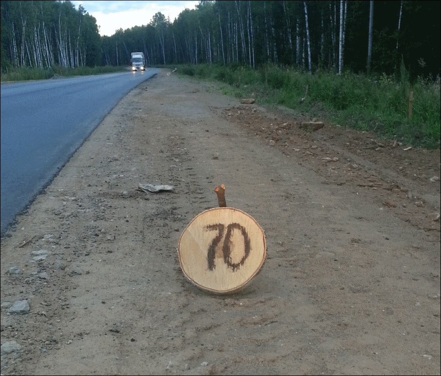 Деревянный дорожный знак и камера