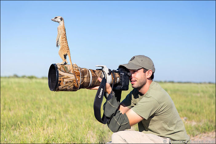 Животное и фотоаппарат
