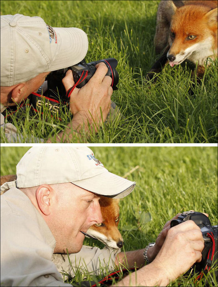 Животное и фотоаппарат