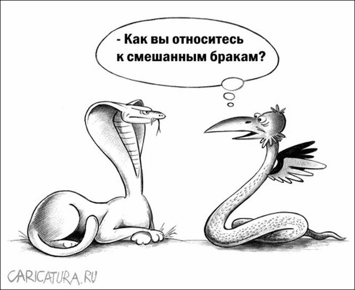 Карикатуры