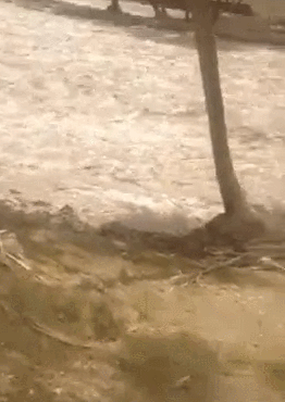 Прикольные гифки