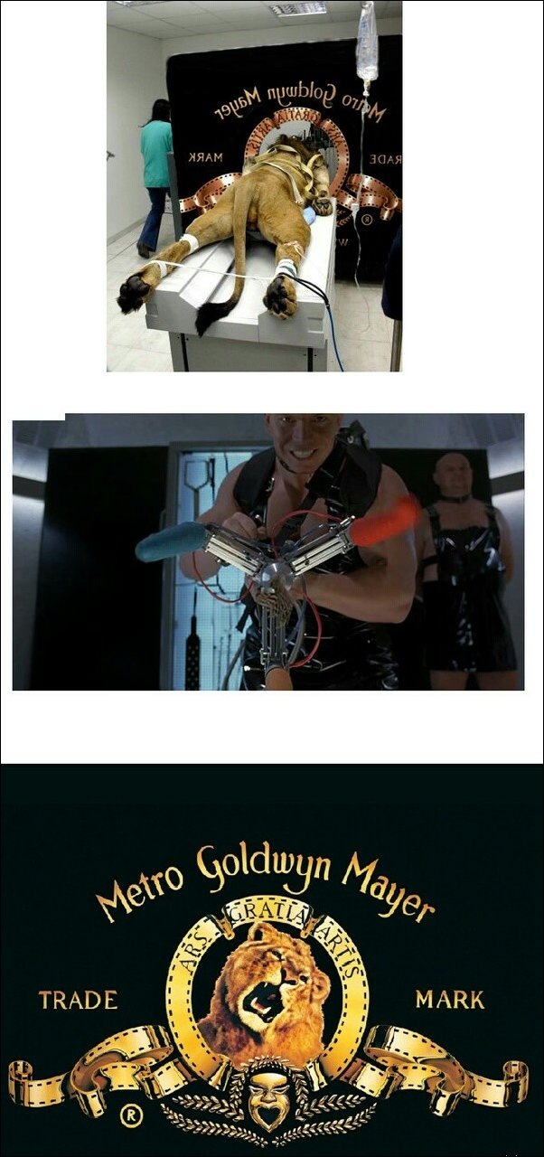 приколы про кино