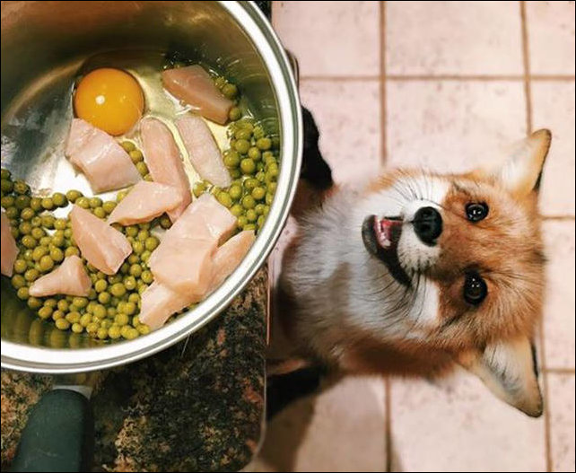 фотоприколы