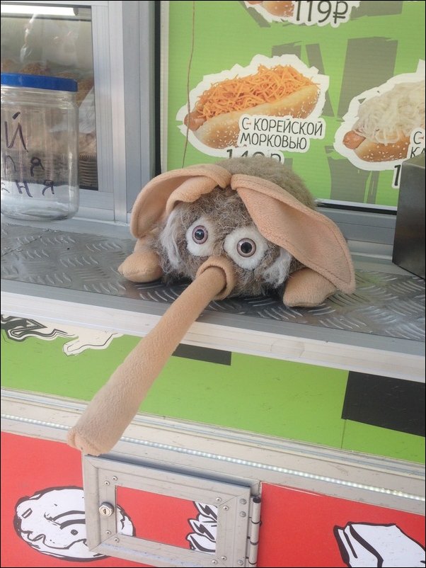 фотоприколы