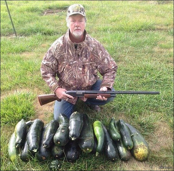 фотоприколы