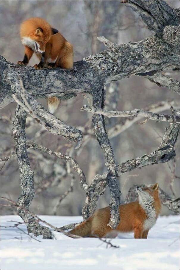 фотоприколы