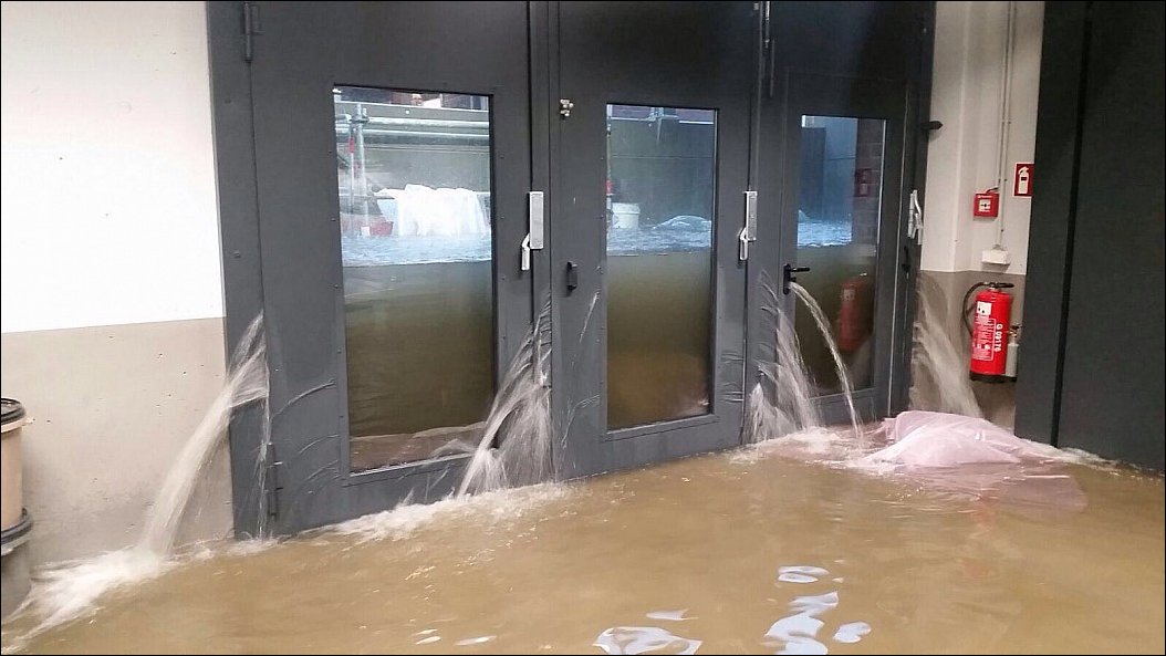 фотоприколы