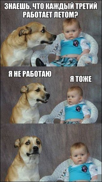 фотоприколы