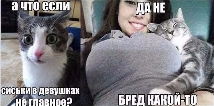 фотоприколы