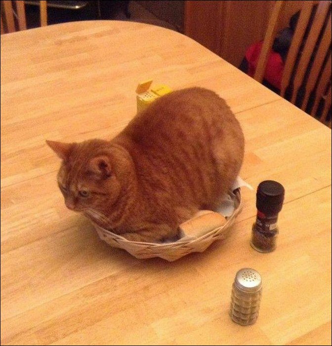 фотоприколы