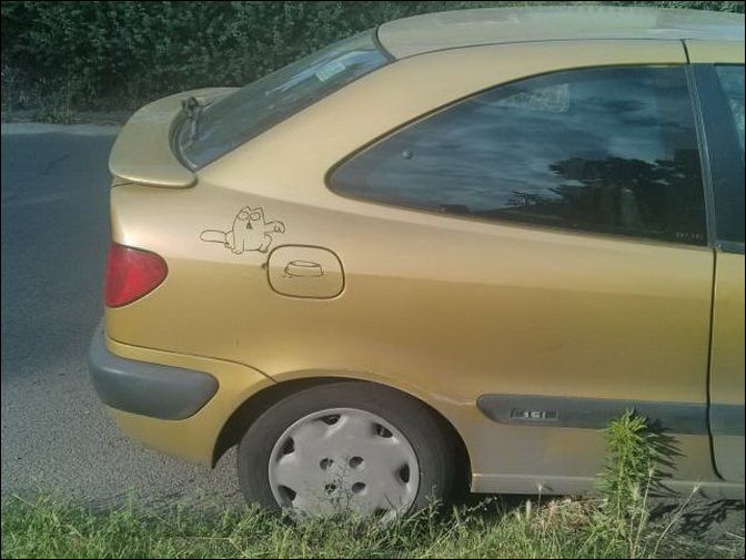 фотоприколы