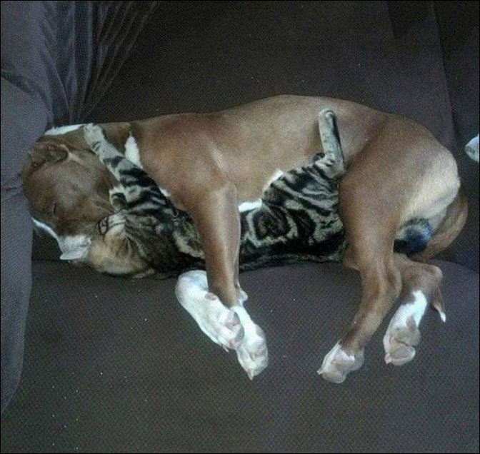 фотоприколы