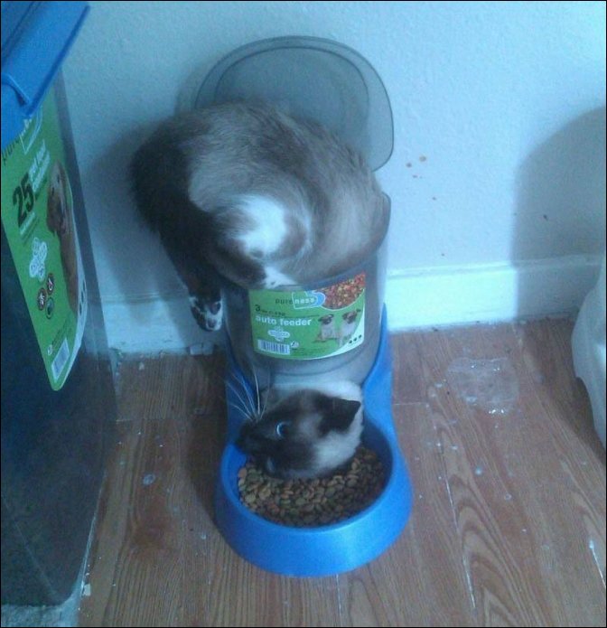 фотоприколы