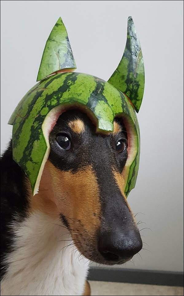 Фотоприколы