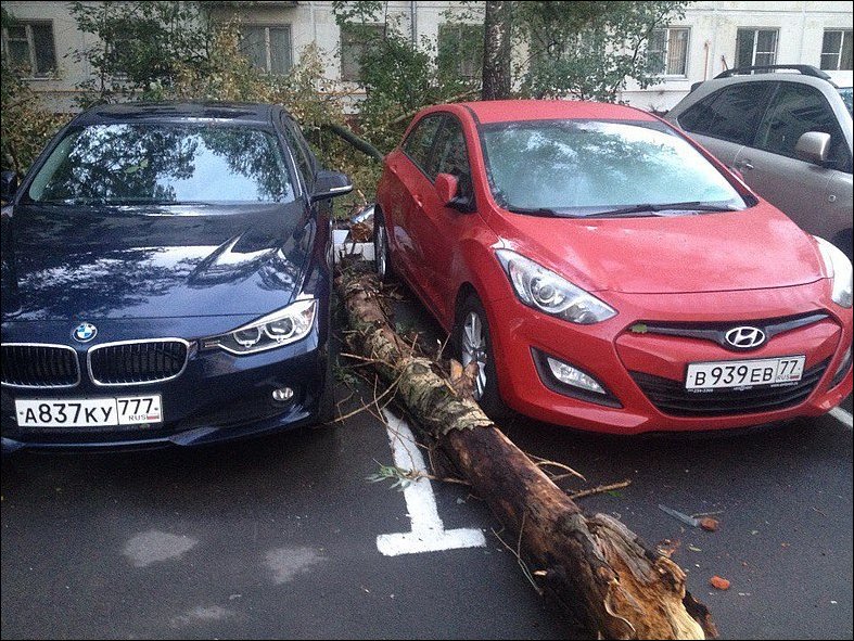 Фотоприколы