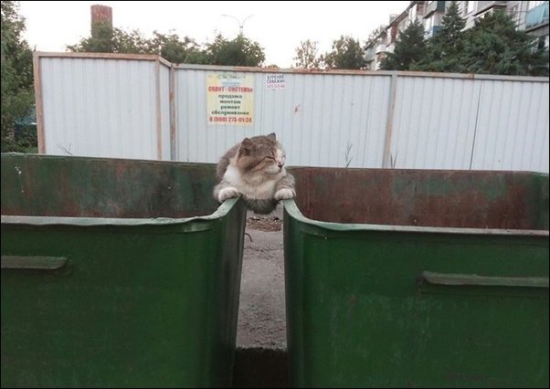 Фотоприколы