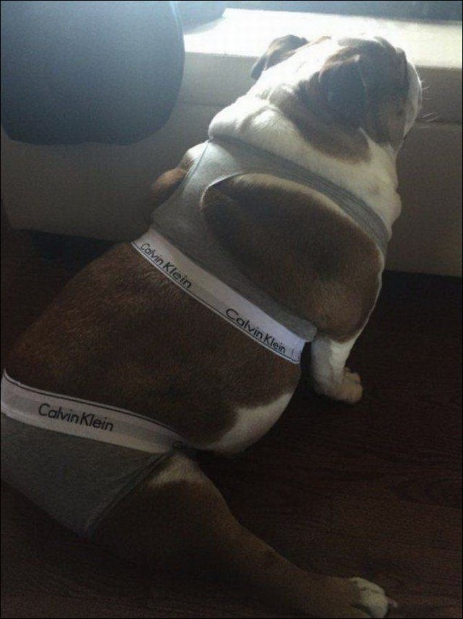 Фотоприколы