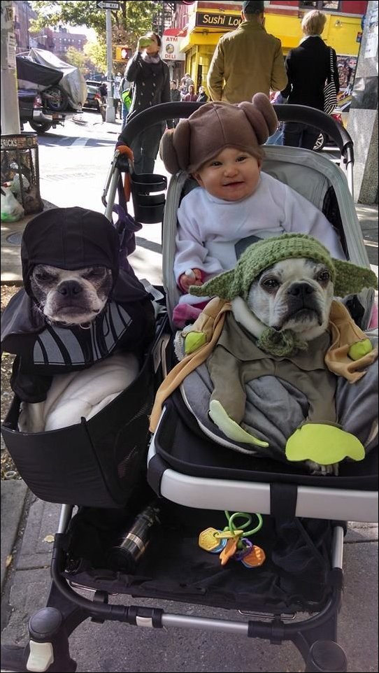 фотоприколы